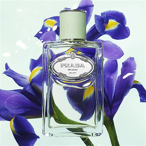 infusions rose by prada is very flowery|Prada les infusions iris.